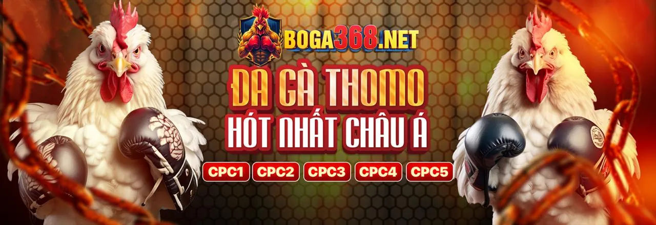 Hướng dẫn chơi Nổ Hũ Suwin cho người mới bắt đầu và mẹo thắng cao